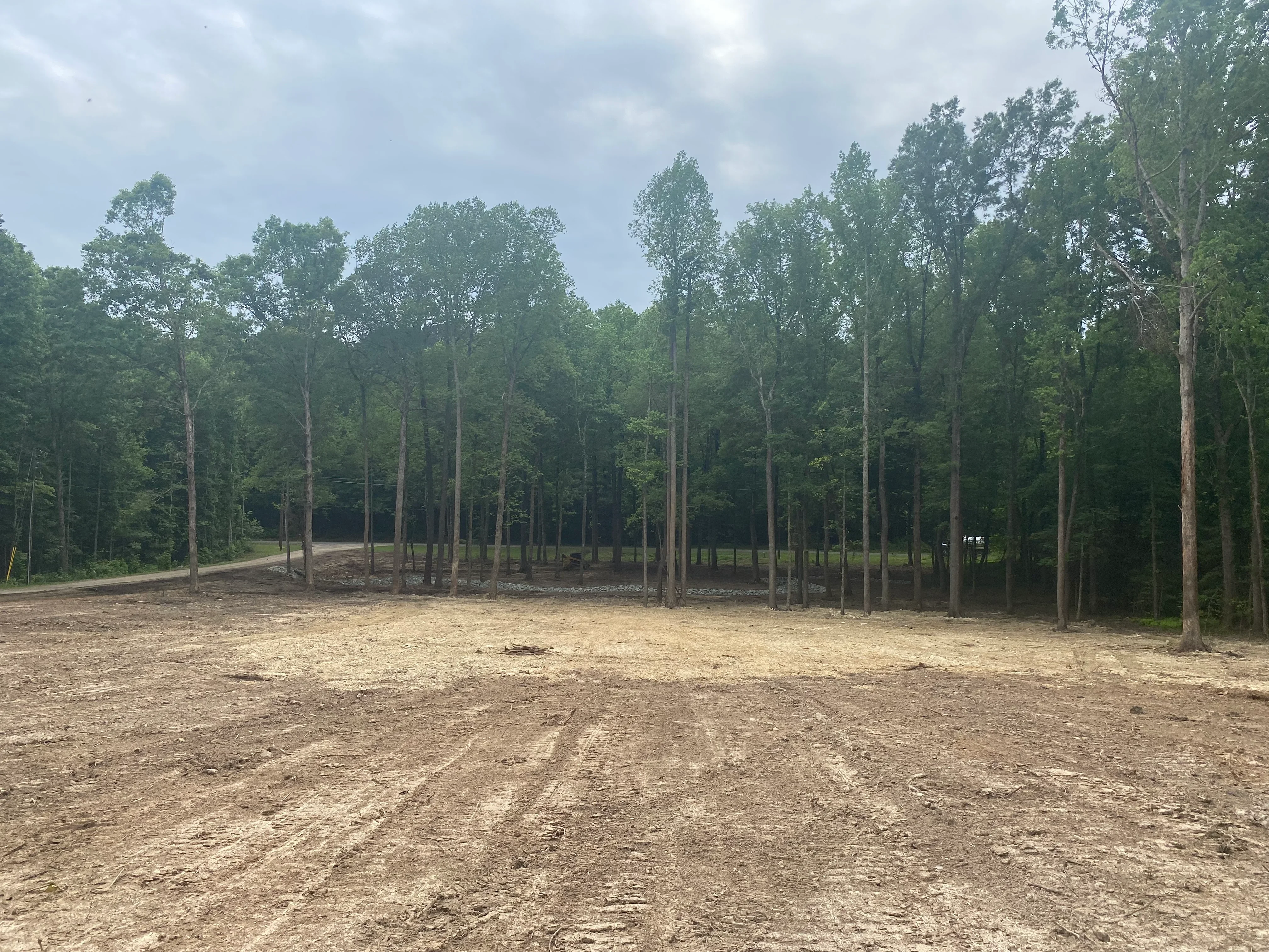 Cleared and graded dirt lot with preserved tall trees lining the perimeter