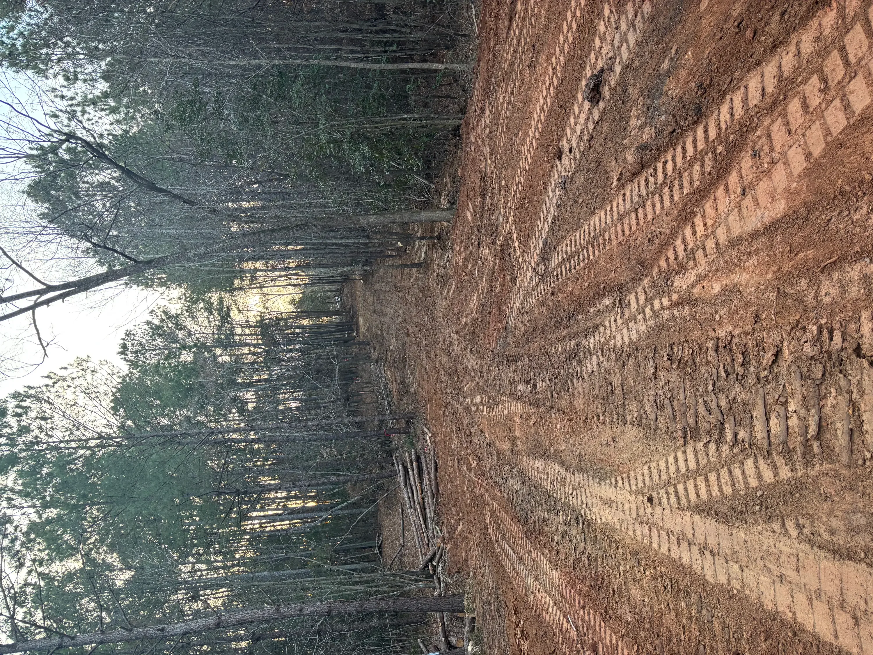 Excavated and graded soil base for driveway with brick building foundation visible